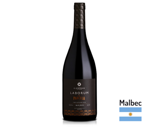 Laborum de Parcela Malbec 2018 - Chango Empanadas