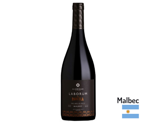 Laborum de Parcela Malbec Alto - Chango Empanadas